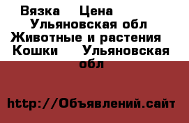 Вязка  › Цена ­ 1 000 - Ульяновская обл. Животные и растения » Кошки   . Ульяновская обл.